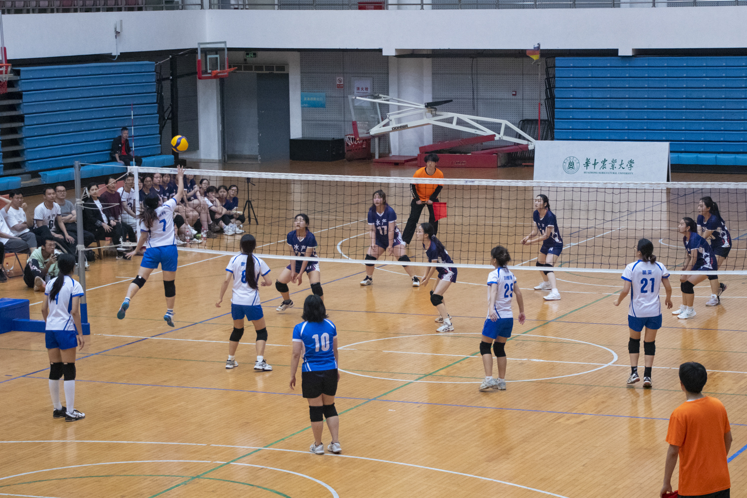 动物科公司​bevictor伟德7号李佳科进攻（学通社记者 司欣然 摄）