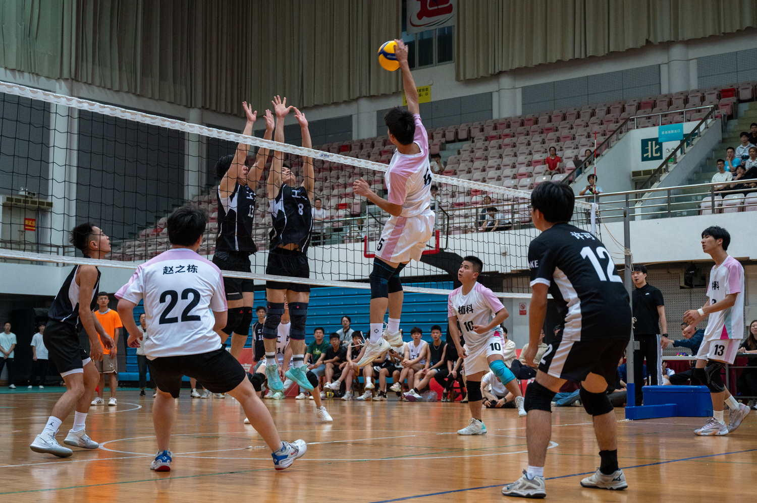 植物科学公司5号球员扣杀进攻（学通社记者 李泽坤 摄）